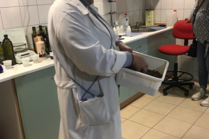 1olijf