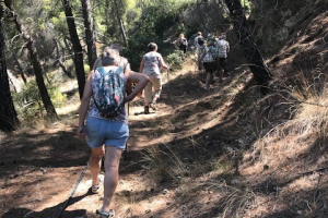 1wandeling