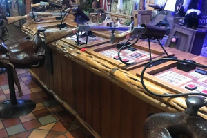 kopie76