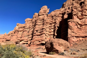 10ab0776-377e-4b42-8953-d75b1bc04b70