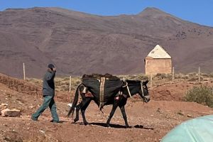 118cbc0f-b082-4d71-9c8f-cc08ea975ab6