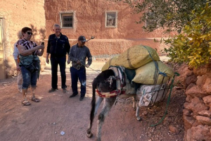 11a27990-a200-4084-aa92-a255760e8976