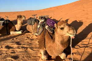 23ec4697-d20b-4d85-8364-ef9fc3a04ca2