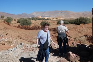 26a1f468-60ba-4405-bdbd-9d3afdb92236