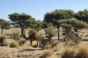 2c5e63f4-9490-421b-bbfa-d1cb9c51d8bb