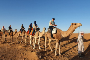 39208dc3-ae40-4d4a-aa56-4372c67ab282