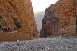 39b0c790-e753-42f3-a7be-a9ba5bbde607