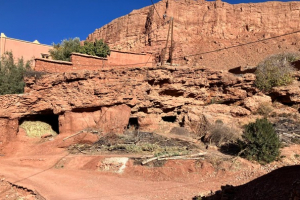 431fc102-0538-4e49-bae1-fde57eee392e