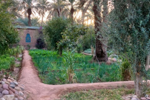 44cc1fb2-e80c-4c61-9be5-b914b1832346