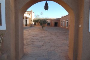 554f2f06-36cf-4c2e-b372-b021b694d555