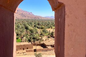 55aded53-f806-4594-a24a-994f958cc860