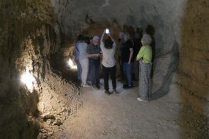 58f91500-ad31-4ba5-80b1-ed81ddecf29e