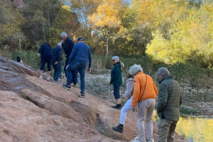 69a98199-2c89-4426-9556-838b79452d37