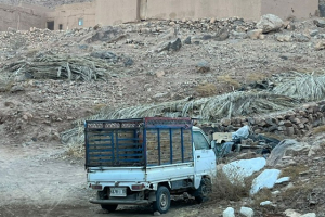 704e3d23-7d83-4a51-abe9-8f9381315b74