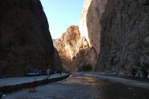 7cdd5f2e-e47a-4481-ae39-c811ad7da03b