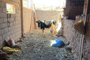 7d4cb33a-3a27-4dab-b702-2dfa9c5f32a7