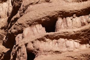 7edba7e1-7fe8-406d-86bd-efa1e4506797