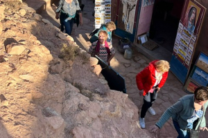 8387dc00-0f00-4695-982b-b5250a22770f