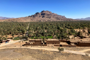 8c30b252-25b6-4ffd-891a-78af625945d2