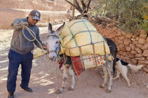 8d962fed-60a8-4f67-872c-3e0210f5be56