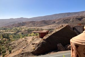 8e26fa91-57d8-420a-9642-a525b27525fc