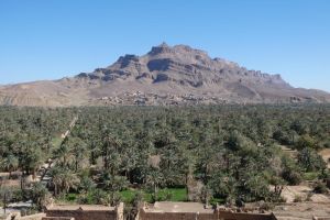 8e5eec63-e0fa-4b2b-b736-f61e8a69032f