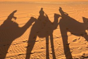 91ab7b48-a482-4305-9f01-6401c769d7e9