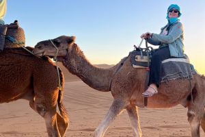 971fddef-5cab-4360-ac82-2efe4c828d80