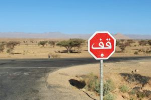 a0dc644b-f851-4462-9571-8fb0359d18f5