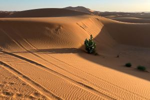 a51bcf44-cdab-4b03-9d32-65e5c9278681