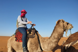 a7480d10-b13f-40b8-9aa3-1a82edd86714