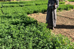 b0ea77e8-27c3-4756-adee-a50c84eada9c