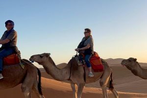 b23d001d-3046-4b21-83d3-4f0161e25d29