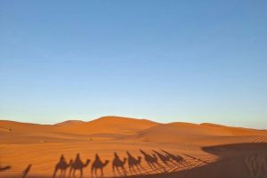 bb6ed44f-d852-498c-8fcc-eae9d14f5970