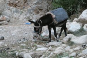 bc9fd378-f6ac-4034-8d23-aae23f085870