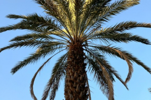 be2f38c2-0e0a-4a80-b7e6-5eed9e919666