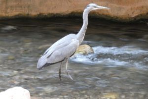 c156c66f-7c76-4c77-9832-21587d2fc158