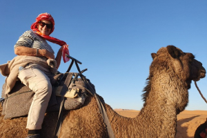 c22534c4-9648-42fa-8ea1-1cbcad8cff0a