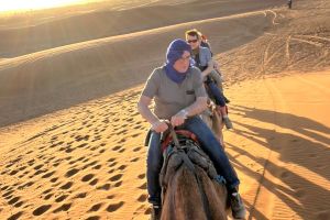 d1e24031-3fd0-4f0d-94da-8fdbbaf95411