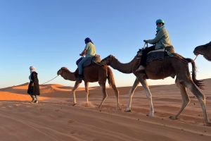 e42cc0c4-b6d8-4dae-b018-c7833c829102