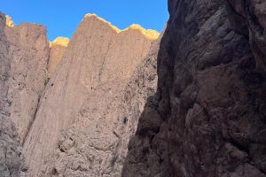 e45f8bec-7592-4c60-b19f-672902b1e518