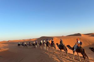 ed69f26a-00ef-4803-94cd-1e45ac34a968