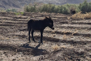 f0a6abaa-06c8-4dda-a10b-f9b8fec4d457