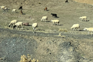 f0f22a14-26c4-4ce5-9ffc-6dea789d3241