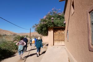 f2b58b00-2f23-44a8-a5b6-57fb83c0c017