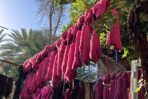 f5b94f0b-e456-46aa-bdd6-1d4f9a13d10f