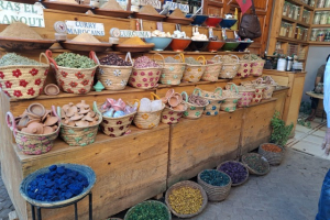 f856a20d-5ffa-4146-9984-5514d48a3d85