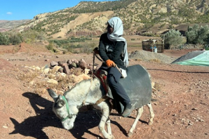 f8d8d2ea-302f-446a-a249-dcd782036ffd