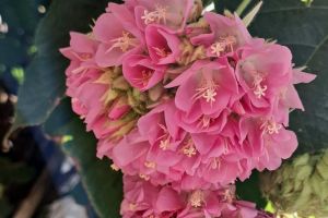 12eb5573-62cd-487b-8704-c48cfec0220b