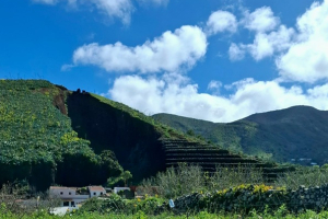 37c745d4-8d48-4575-bfb5-78bb2812c479